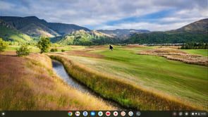 ChromeOS | Linux Development Environment | Update LDE