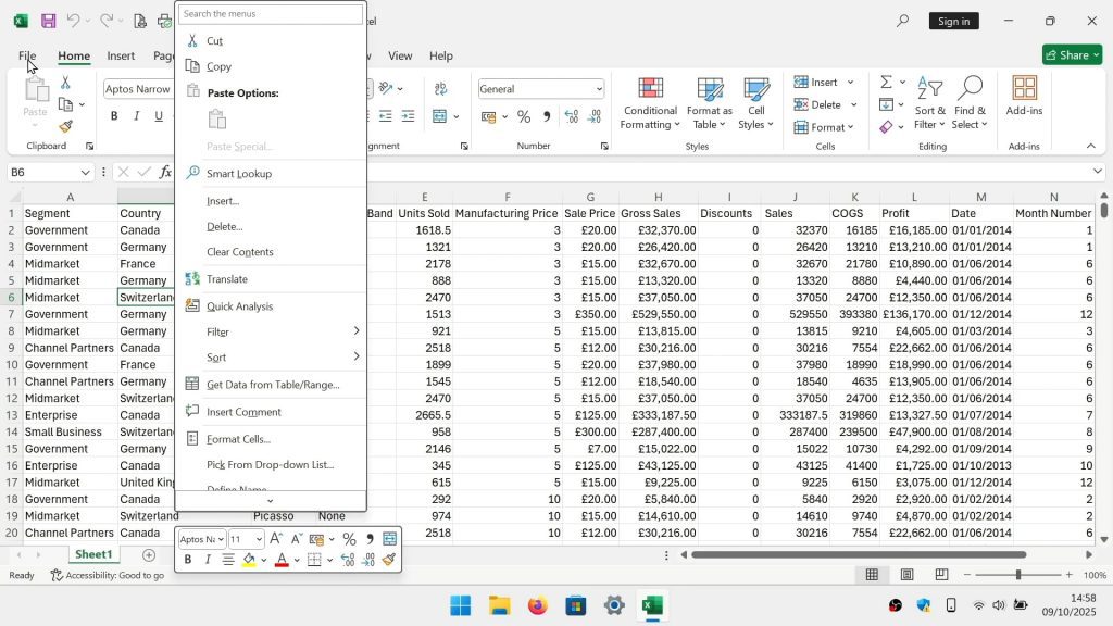 The MS Office mini toolbar