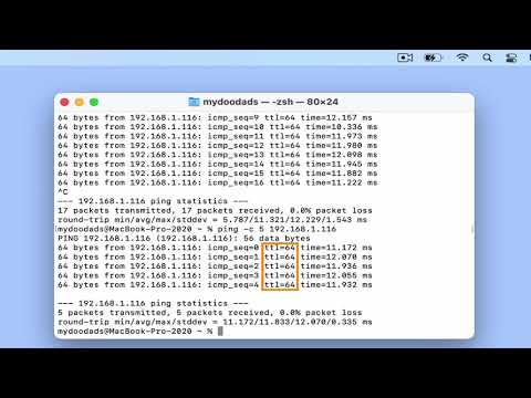 Run a Ping test from macOS