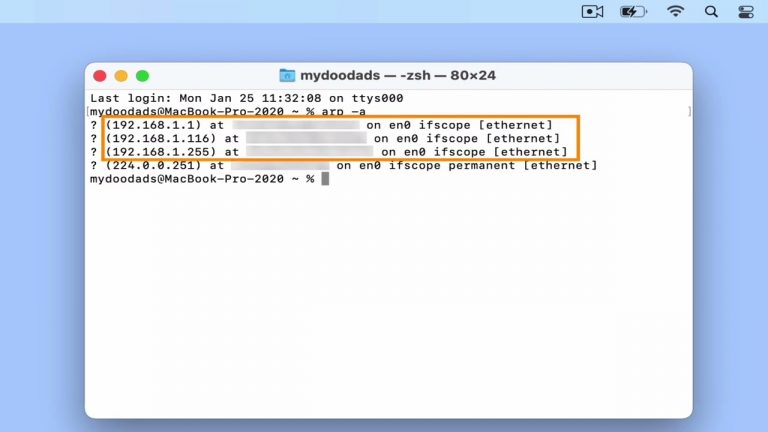 An introduction to ARP scan on macOS